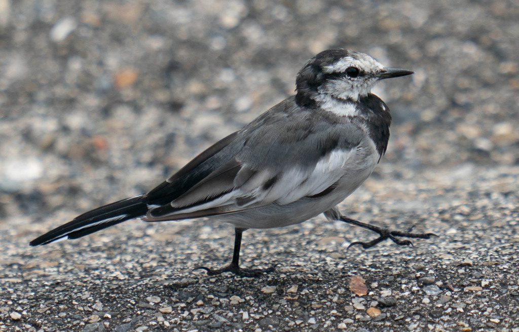 15時まで、、、