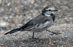 15時まで、、、