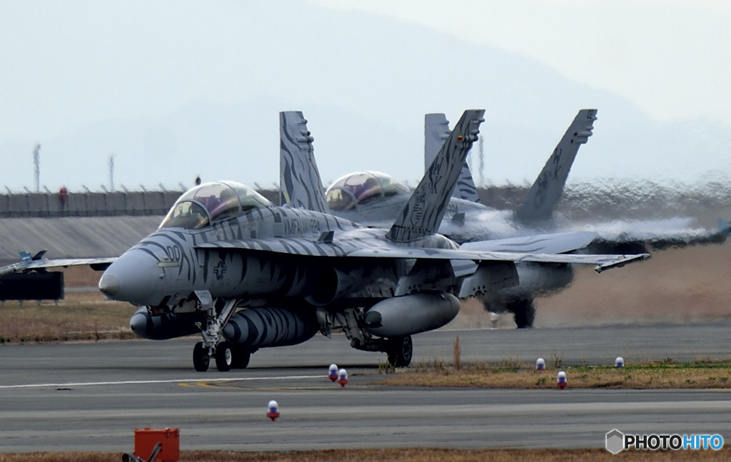 ベンガル御一行様