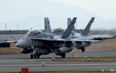 ベンガル御一行様 ベンガル御一行様