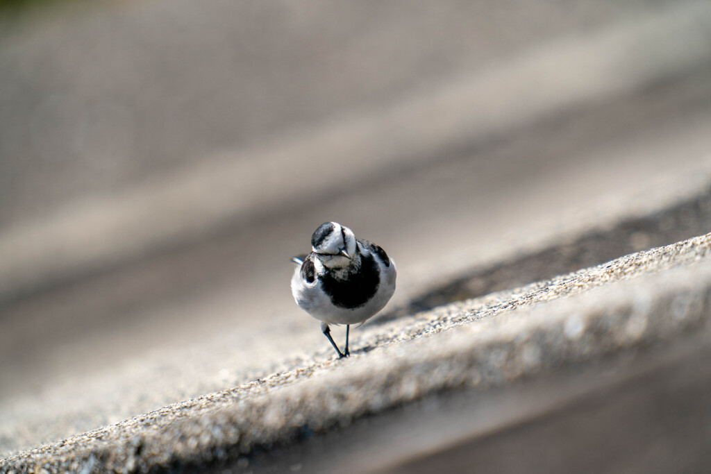 良いお年を！！