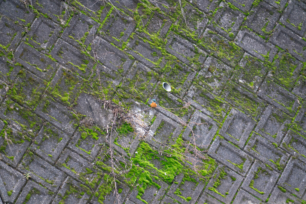 ベランダからｗ