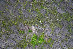 ベランダからｗ