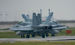 動き始めました