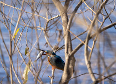 難儀なとこへ・・