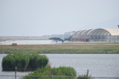 やっと出てきた・・・