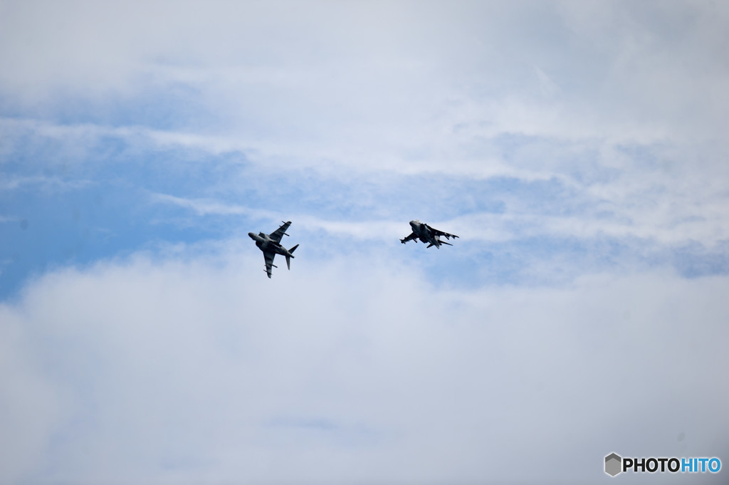 オーバーヘッド　にゃん