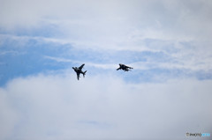 オーバーヘッド　にゃん