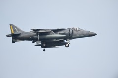 待った甲斐ありました。。。(T0T)