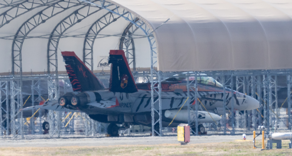 VMFA(AW)-224 Bengals　＃０１