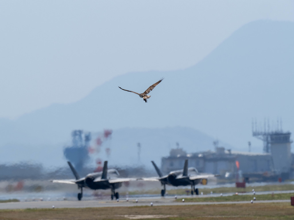 ピン間違い？？