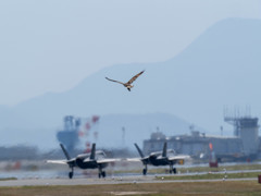 ピン間違い？？