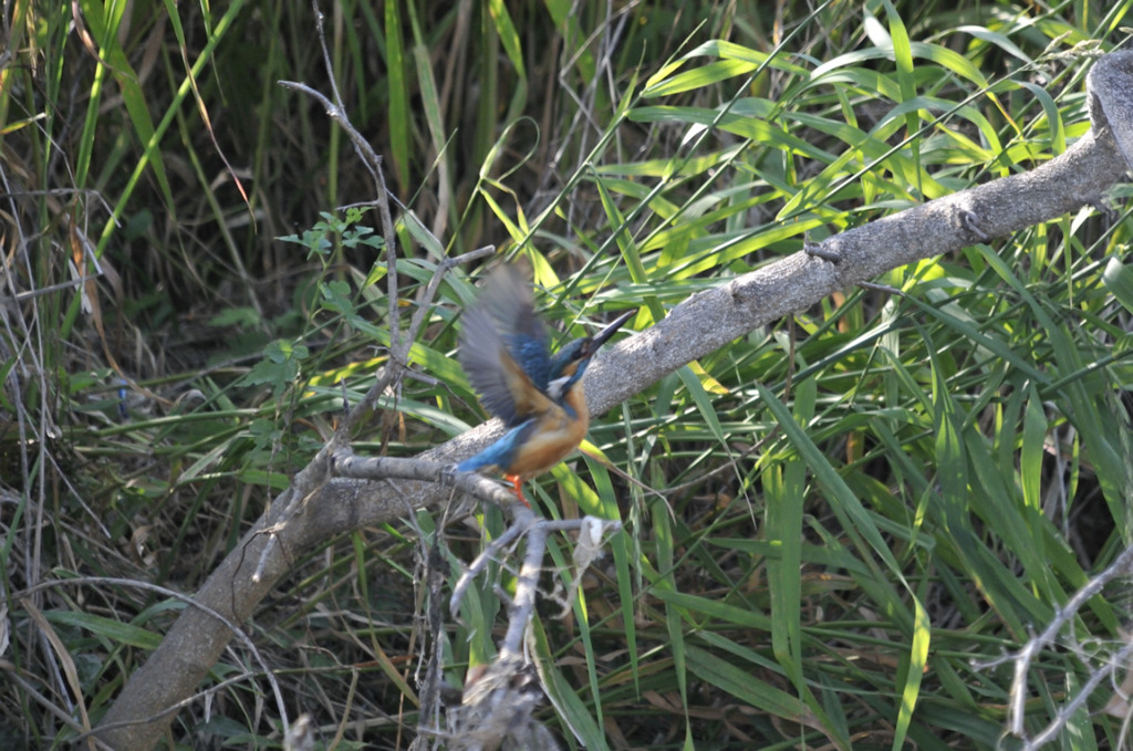 さん！！！！！