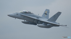 シェイクダウン