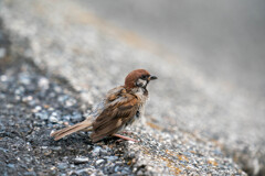 こんなモンですね。。