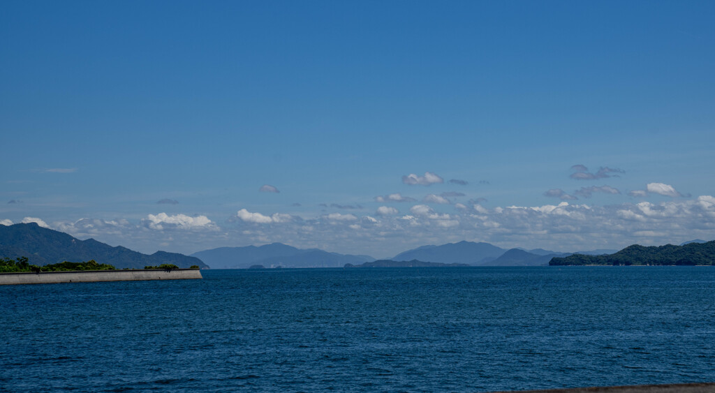 暑さで頭逝かれた？ｗｗ