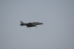 望遠は・・・・