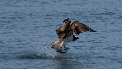 欲張りすぎ、、
