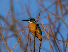 基地には行きにくいので、、、