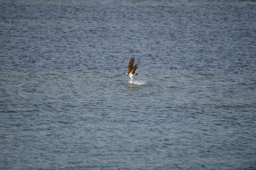 よいっしょ・・