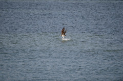 よいっしょ・・