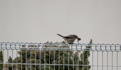 拡大　注意！！！