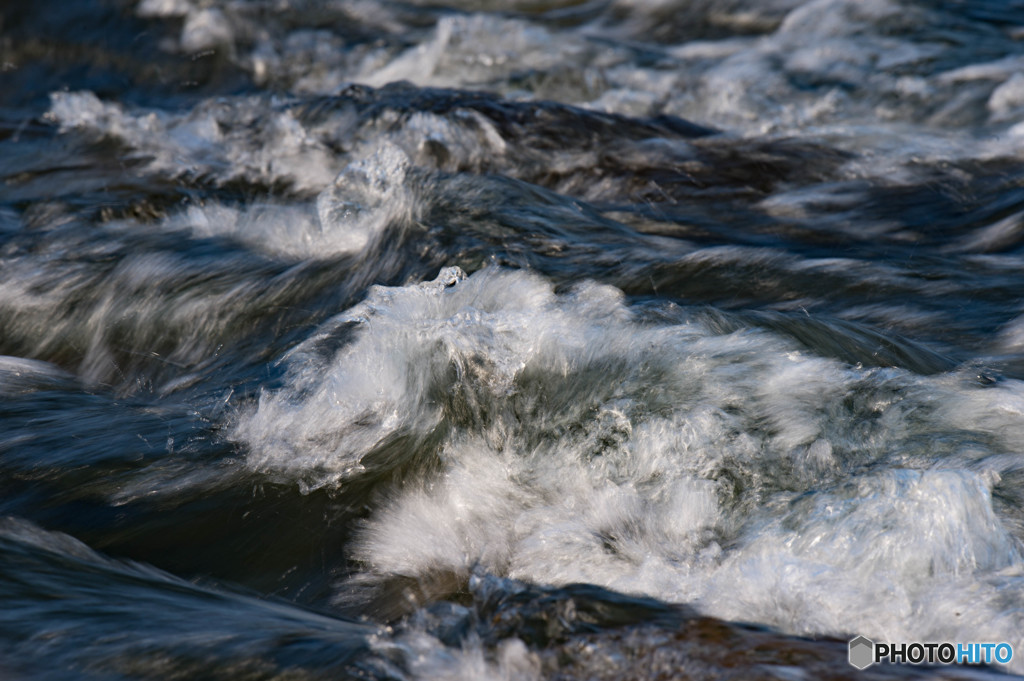 ヤマセミ・・・