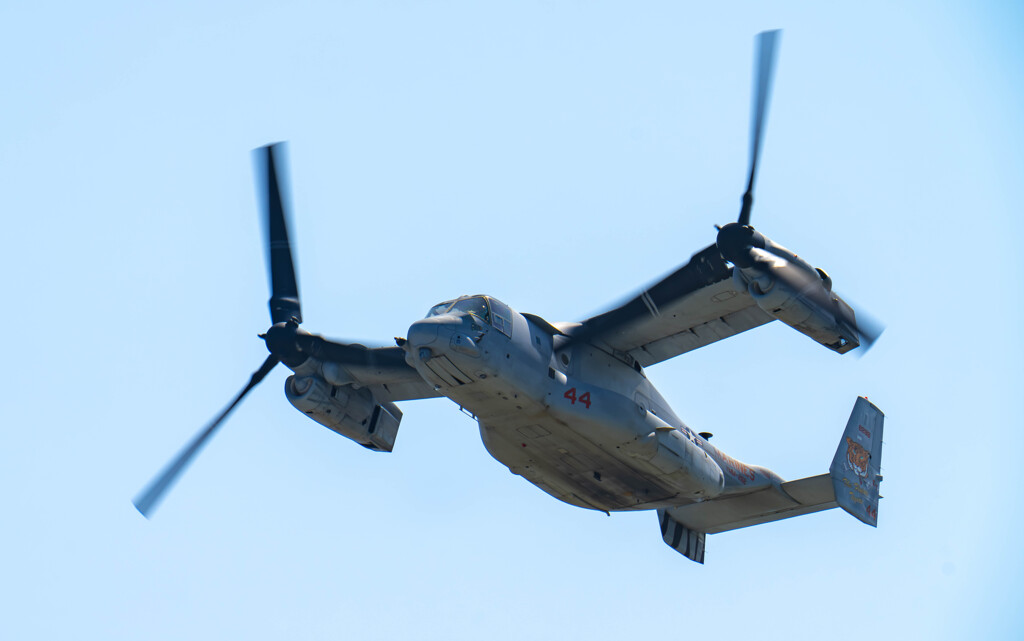 VMM-262　#44　虎の親分