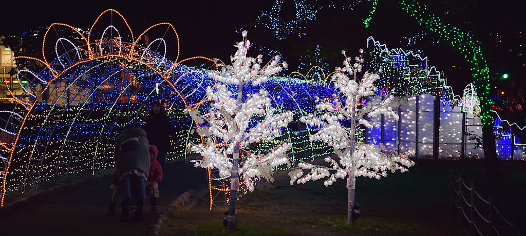 ドリミネーション　２