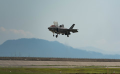 これは着陸ｗｗ