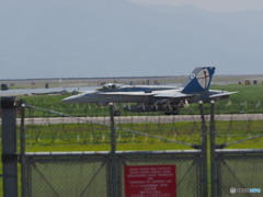 もう飛ぶの？？？