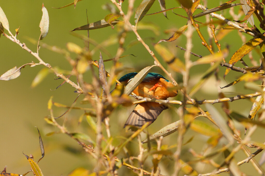 そっちかい！！