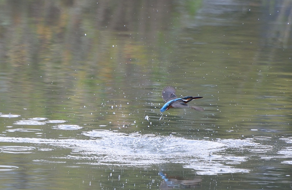 もうちょっと・・・