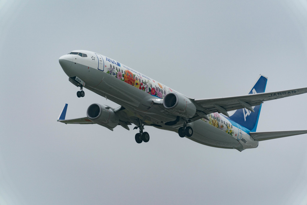 もう少し、、、