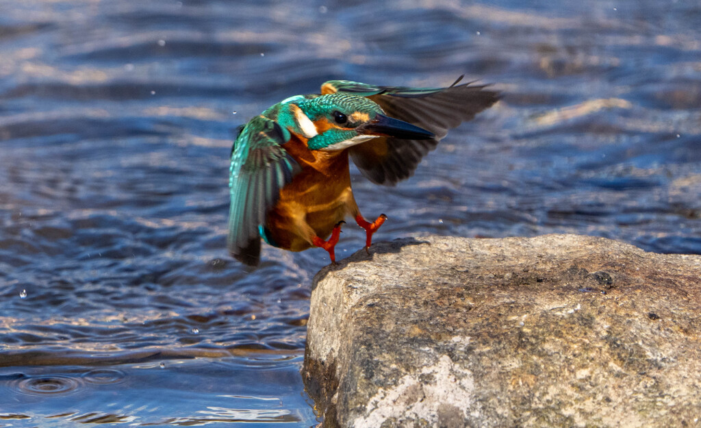 水浴びからの・・・