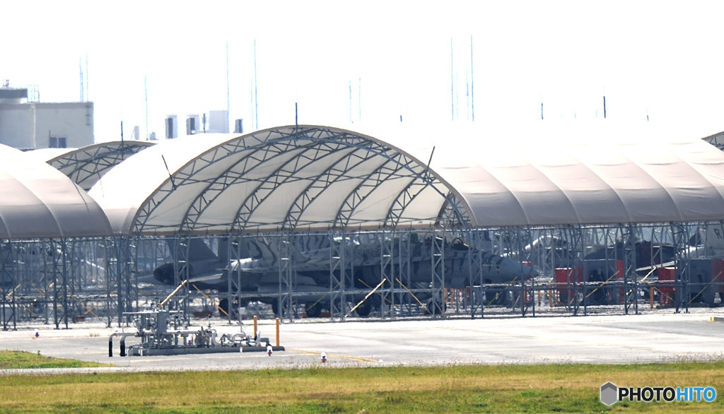 しましま親分！！！