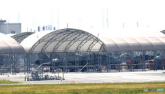 しましま親分！！！