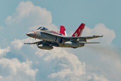 VMFA-232 RED DEVILS  WT #01