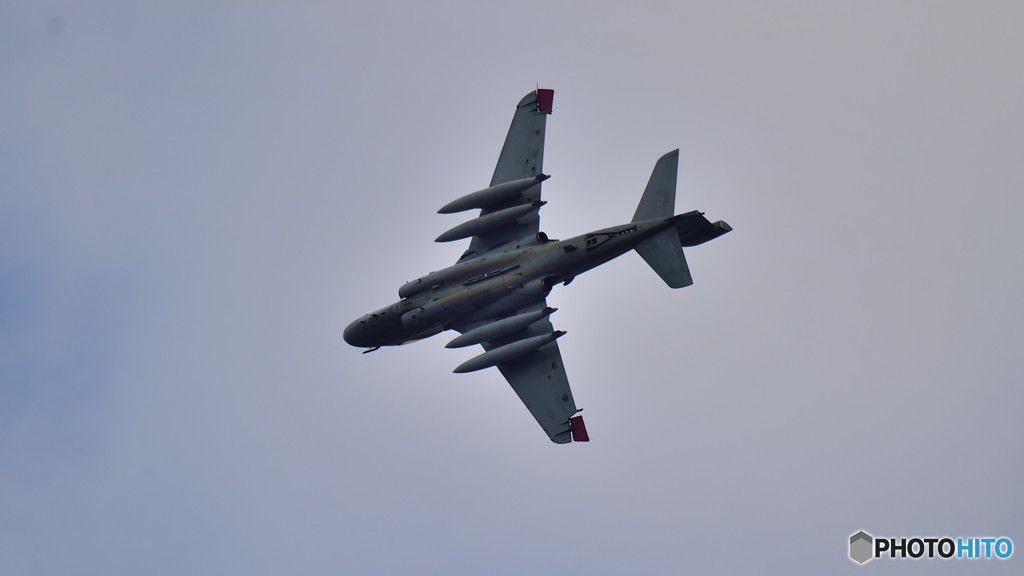 わんわんの・・