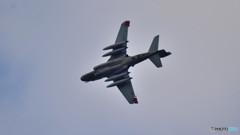 わんわんの・・