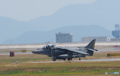 虎さん、、遠征？？？