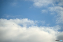 いい天気！！！