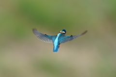 こっち向いて、、、