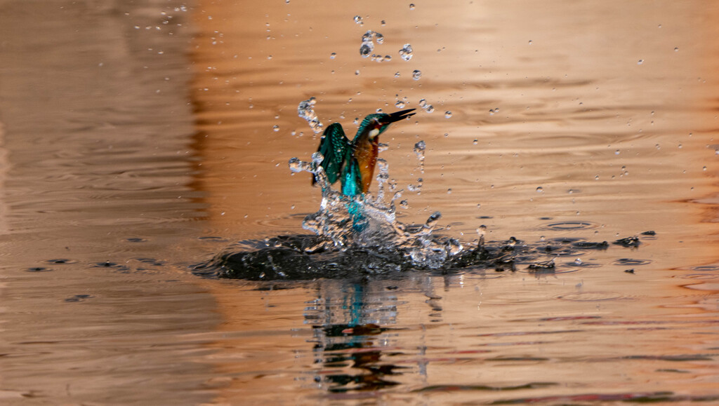 ここで・・・ピンが。。。