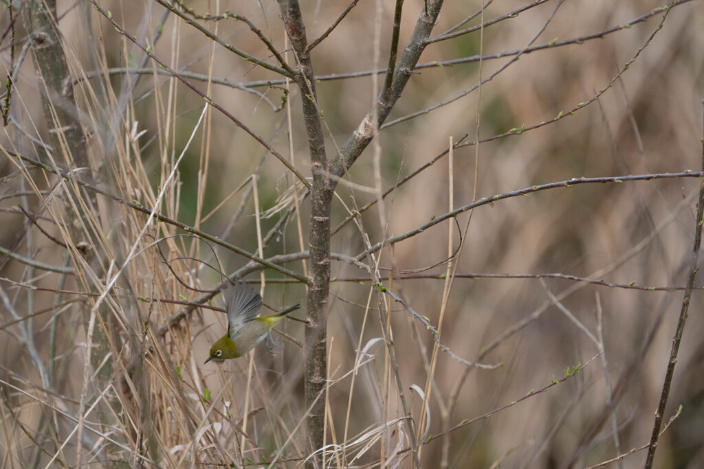 飛び出すタイミング