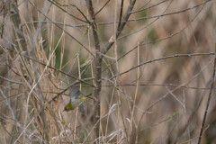 飛び出すタイミング