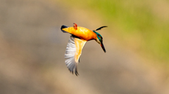 ヒネリを入れて・・・・余裕？？ｗ