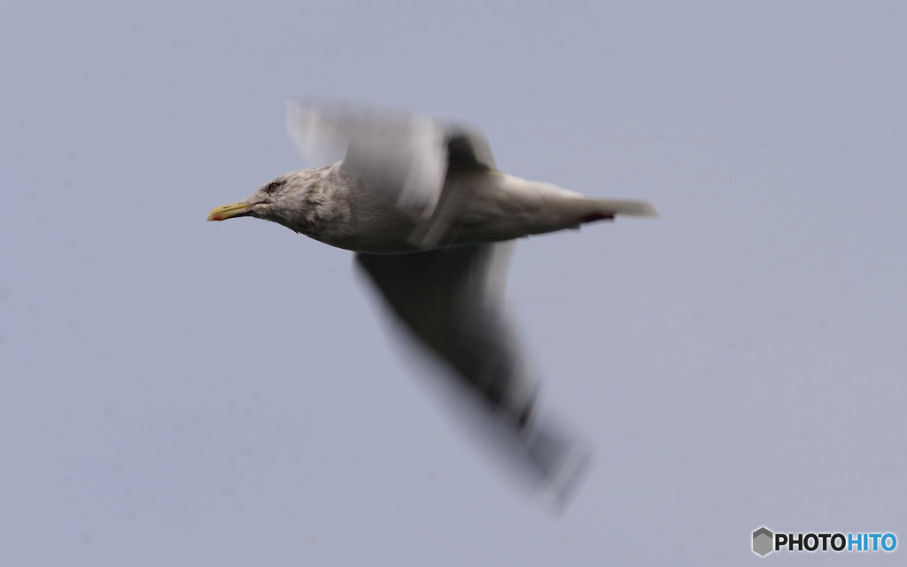 練習中・・(^^;)