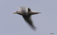 練習中・・(^^;)