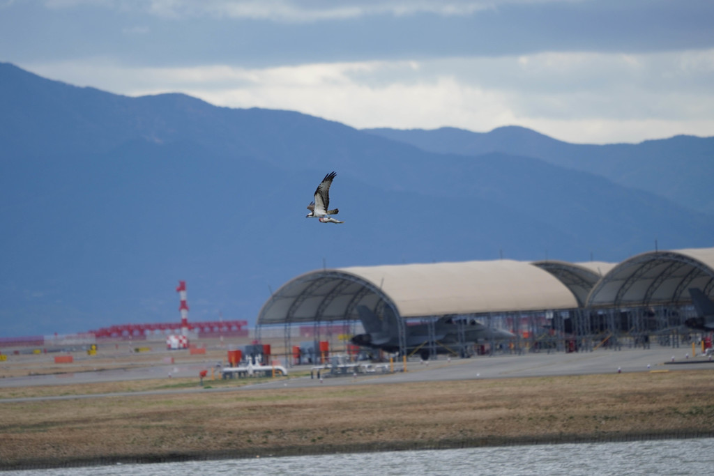 散財馬鹿・・・ｗ